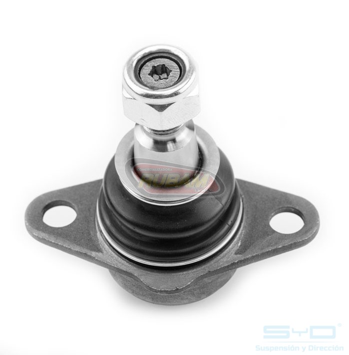 1002005 SyD ROTULA INFERIOR