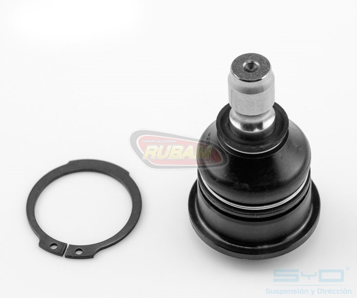 1003005 SyD ROTULA SUPERIOR