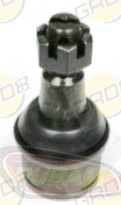 K-8609 SyD ROTULA INFERIOR