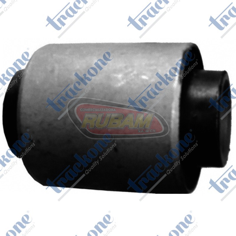 10-054 TrackOne BUJE INF