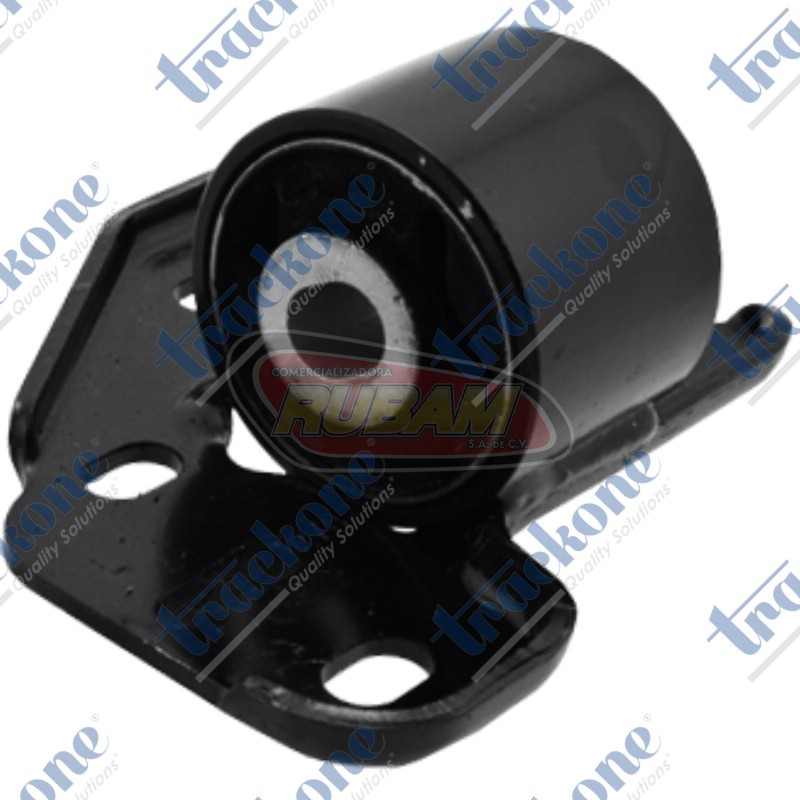 10-094 TrackOne BUJE INF