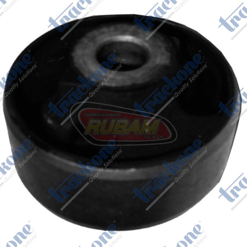 10-114 TrackOne BUJE INF