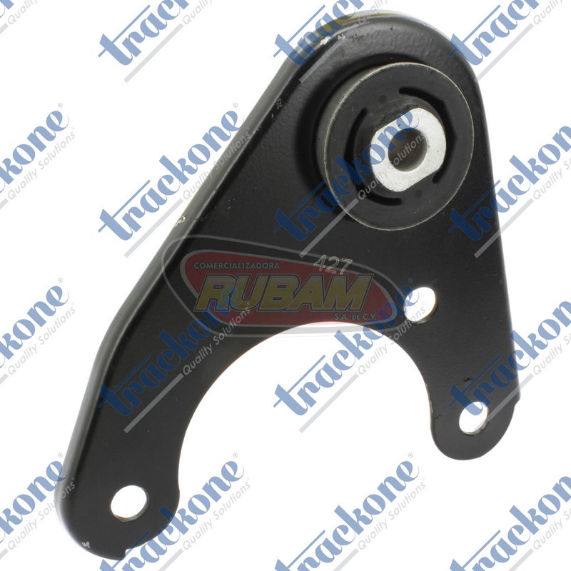 10-887 TrackOne SOPORTE DIFERENCIAL