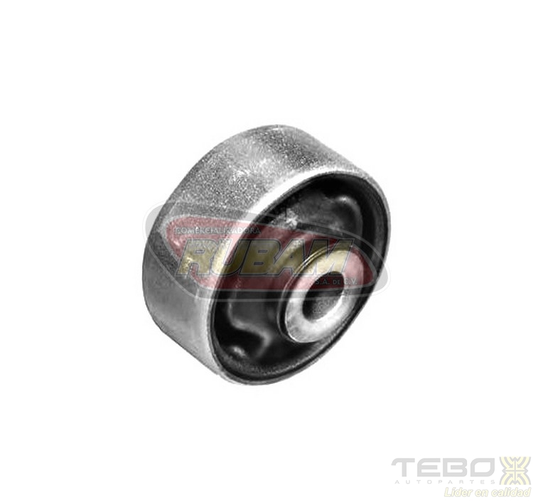 300001 TEBO BUJE