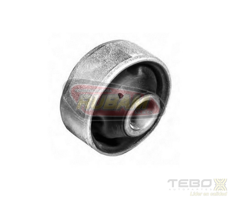 300004 TEBO BUJE