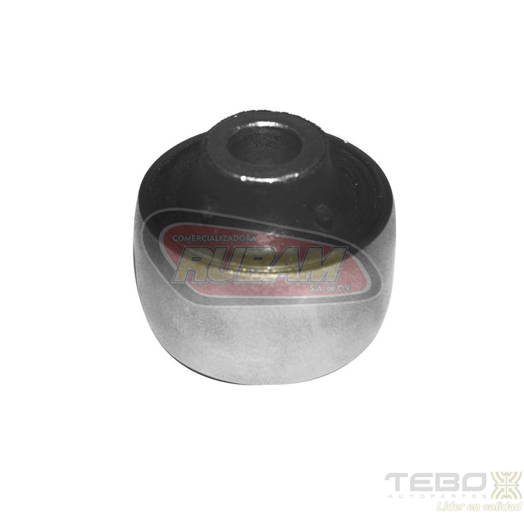 300006 TEBO BUJE
