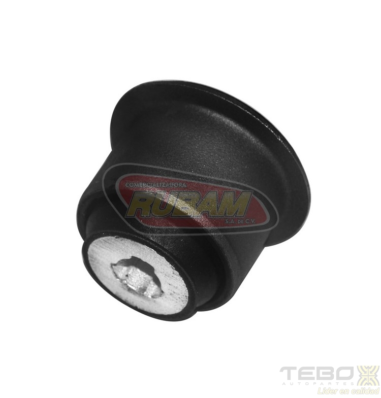 300008 TEBO BUJE