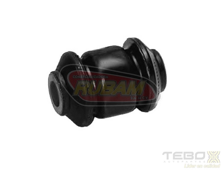 300010 TEBO BUJE