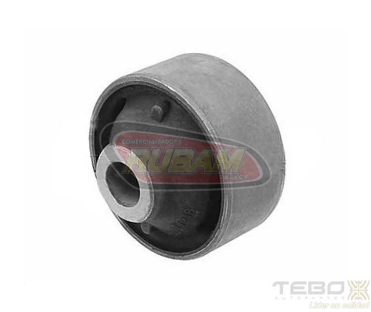 300072 TEBO BUJE