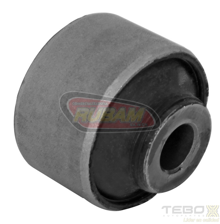 300074 TEBO BUJE