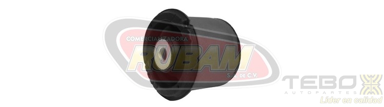 300163 TEBO BUJE