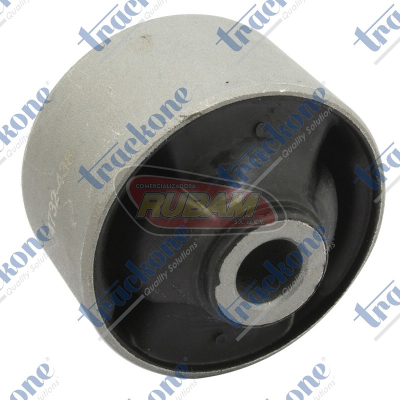 61-517 TrackOne BUJE INF